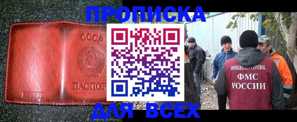 временная регистрация поиск в Оленегорске